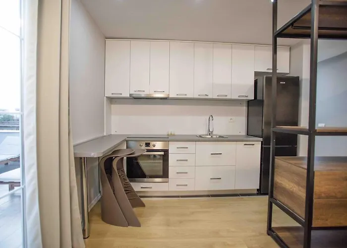 4br Penthouse & Bbq Terrace At Blloku - Lejlighed